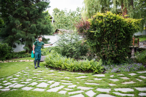 Best Fruit Tree Pruning  in Columbus Junction, IA